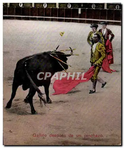 Cartes postales Corrida Gallito despues de un pichazo