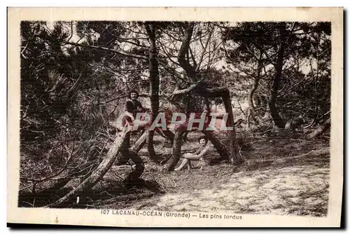 Cartes postales Lacanau Ocean Les pins tordus