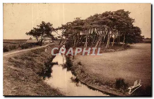 Cartes postales Ares Bassin d Arcachon Les digues au port de Lege