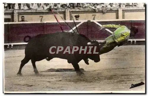Cartes postales moderne Corrida Taureau Course de taureaux