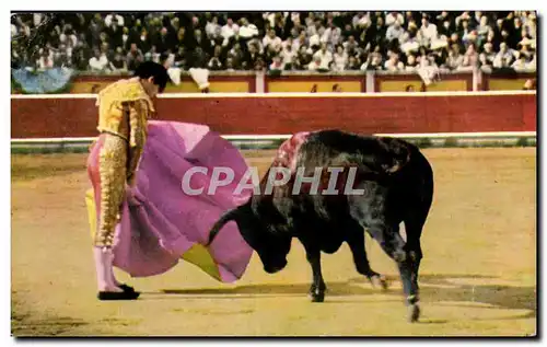 Cartes postales moderne Corrida Taureau Course de taureaux