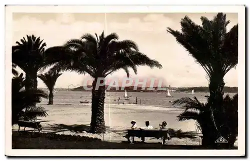 Ansichtskarte AK Dinard Les Palmiers Au fond St Servan