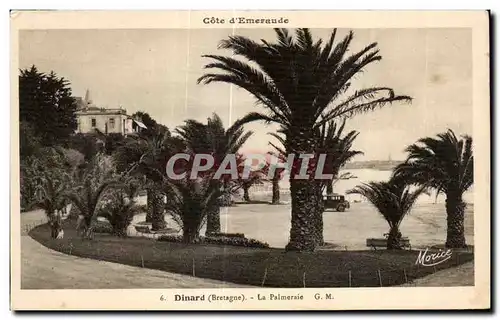 Cartes postales Dinard (Bretagne) La Palmeraie