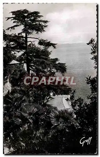 Cartes postales En Bretagne Dinard La Promenade au Clair de Lune