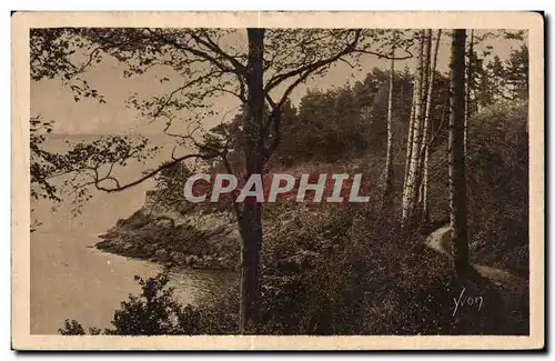 Cartes postales Dinard et sa Vicomte