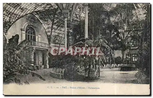 Cartes postales Pau Palais d Hiver Palmarium