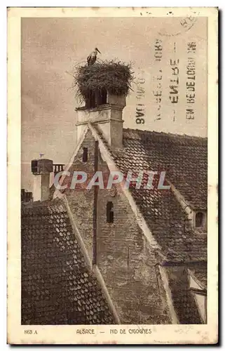 Cartes postales Alsace Nid de cigognes