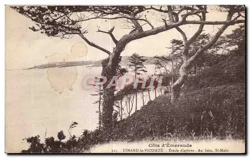 Cartes postales Cote d Emeraude Dinard la Vicomte Etude d arbres Au loin St Malo