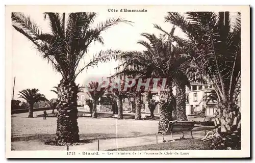 Ansichtskarte AK Dinard Les Palmiera de la Promenade Clair de Lune