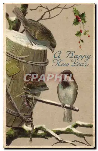 Cartes postales Fantaisie Oiseaux