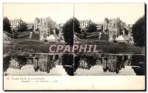 Carte Stereoscopique - Grand Duche du Luxembourg - Beaufort - Le Chateau - Cartes postales