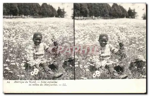 Cartes Stereoscopiques - USA - Amerique du Nord - Scene Enfantine - Au Milieu les Marguerites - Cartes postales