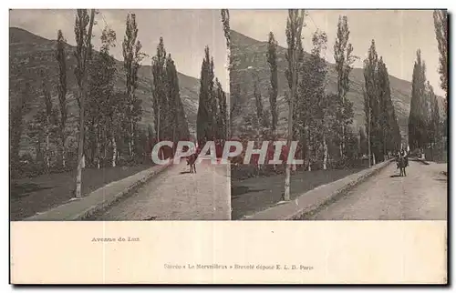 Carte Stereoscopique - Avenue de Luz - Cartes postales