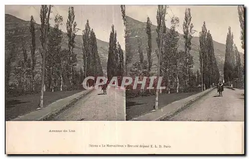 Carte Stereoscopique - Avenue de Luz - Cartes postales