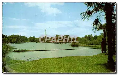 Ansichtskarte AK The Jungle Gardens and Bird City Avery Island