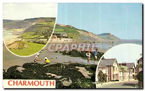 Cartes postales Charmouth