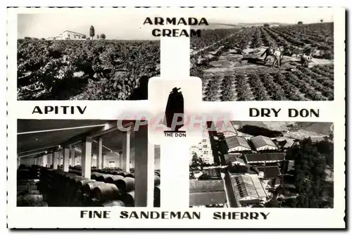 Cartes postales moderne Aramada Cream Apitiv Dry Don Fine Sandeman Sherry Vignoble Vin Alcool