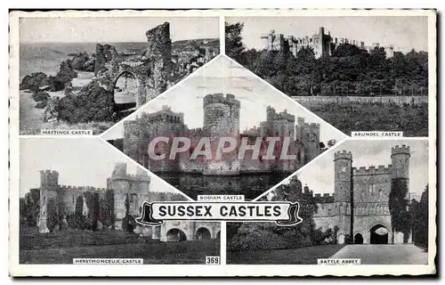 Ansichtskarte AK Sussex Castles Chatea Hastings Arundel Herstmonceux Battle Abbey
