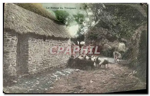 Cartes postales Le Retour du Troupeau Moutons