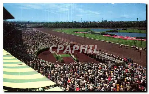 Ansichtskarte AK Hollywood Park Racetrack Cheval Horse Hippisme