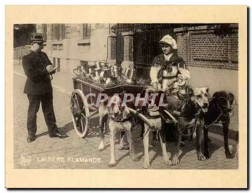 Cartes postales Laitiere Flamande Voiture a chien