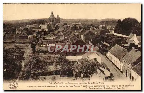 Cartes postales Bonsecours Panorama Vue prise du Chateau