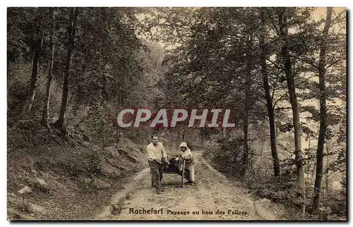 Ansichtskarte AK Rochefort Paysage au bois des falizes