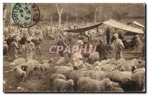 Cartes postales Scenes Algeriennes Marche aux Moutons