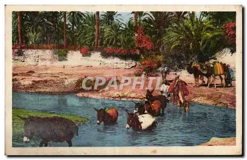 Cartes postales Algerie Scenes et Types Passage de I Ouad ane Donkey