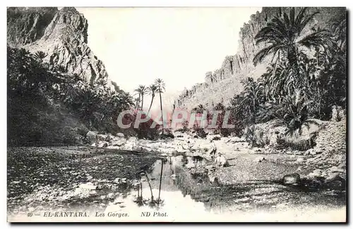 Cartes postales El Kantara Les Gorges