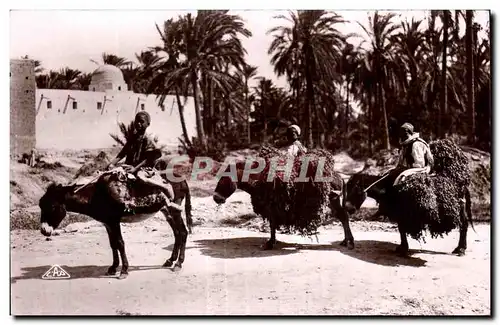 Cartes postales Scenes et Types Retour a I oasis Ane Donkey Datiers