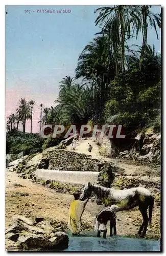 Cartes postales Algerie Paysage du SUD