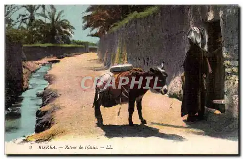 Cartes postales algerie Biskra Retour de I Oasis Ane Donkey