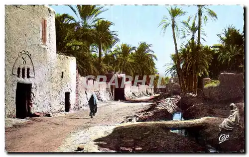 Cartes postales Vieux Biskra Une rue de I Oase Bab Darh Palmiers Dattiers