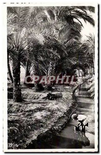 Cartes postales Bou Saada Alger Dans I Oasis