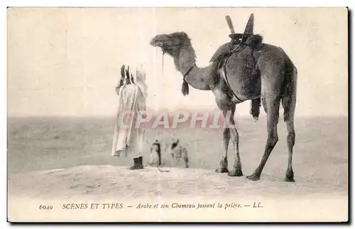 Ansichtskarte AK Algerie Scenes Et Types Arabe et son Chameau faisant la priere Camel