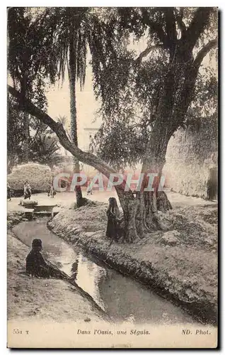 Cartes postales Algerie Dans I Oasis une Seguia