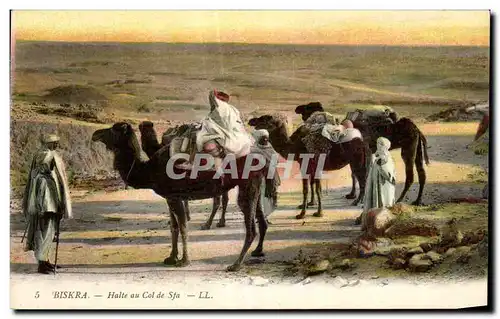 Ansichtskarte AK Algerie Biskra Halte au Col de Sfa Chameau Camel