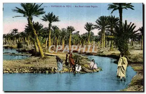 Ansichtskarte AK Algerie Paysage du Sud Au Bord d une Seguis