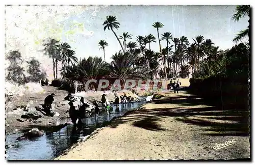 Cartes postales Algerie Les Laveuses dans l Oued