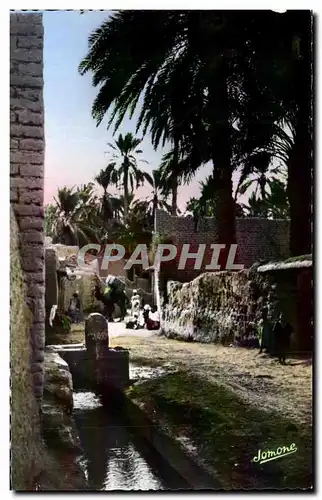 Cartes postales Algerie Une Rue des Biskra