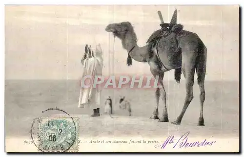 Ansichtskarte AK Algerie Arabe et son chameau faisant la priere Camel