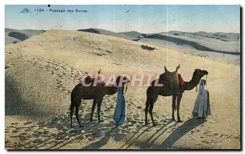 Ansichtskarte AK Algerie Passage des Dunes chameau Camel