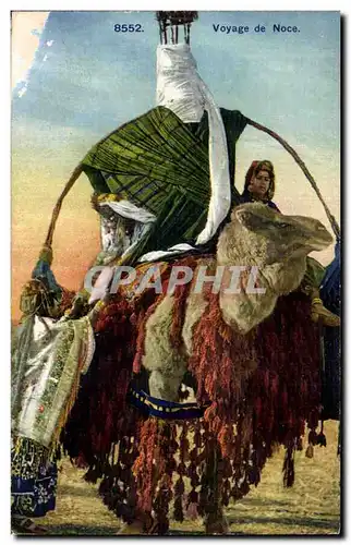 Ansichtskarte AK Algerie Voyage de Noce Chameau Camel