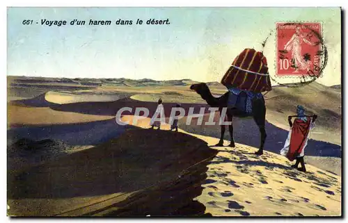 Cartes postales Algerie Voyage d un harem dans le desert