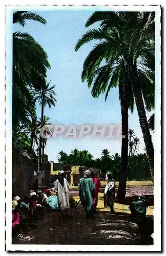 Cartes postales Algerie COLLECTION ARTISTIQUE Biskra