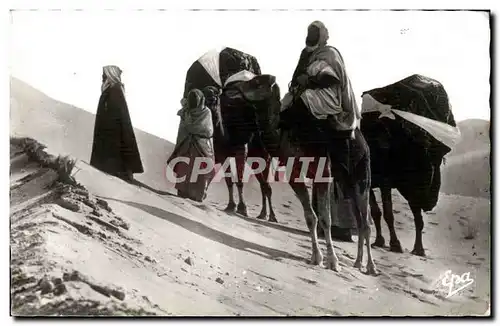 Moderne Karte SCENES ET TYPES Dans les dunes Chameau Camel