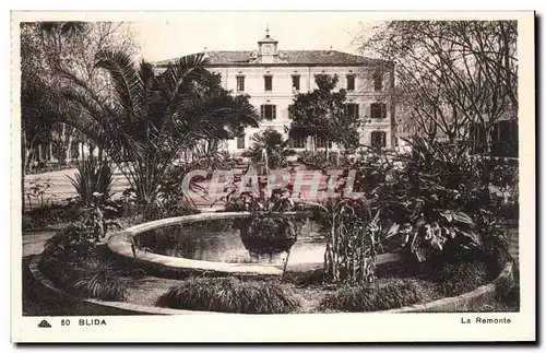 Cartes postales Algerie BLIDA La remonte