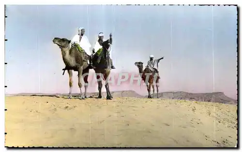 Ansichtskarte AK Algerie SCENES   TYPES Chameliers dans le desert Camel Chameau