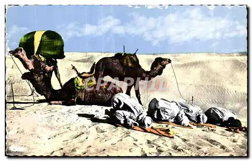 Ansichtskarte AK Algerie COLLECTION ARTISTIQUE La priere au desert Chameau camel